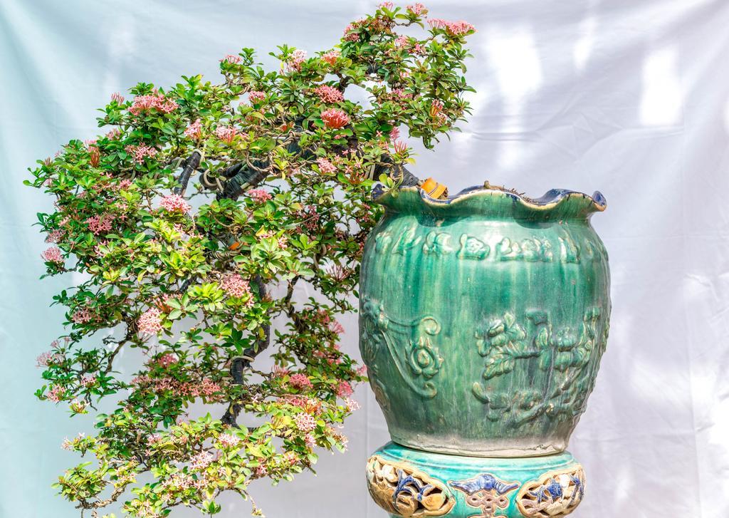 Bonsai Villa Хоян Екстер'єр фото