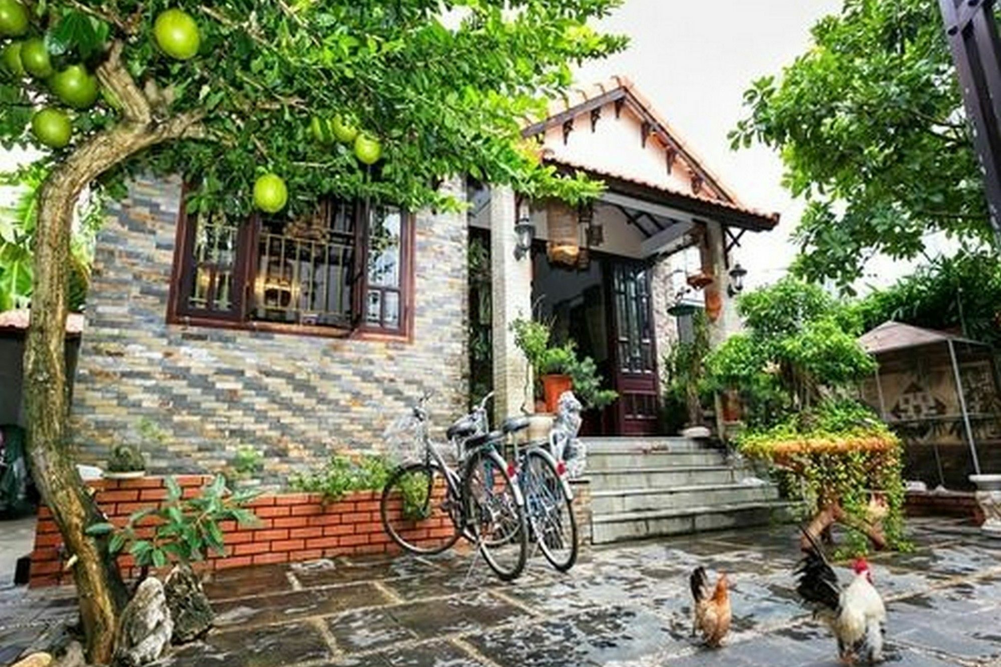 Bonsai Villa Хоян Екстер'єр фото