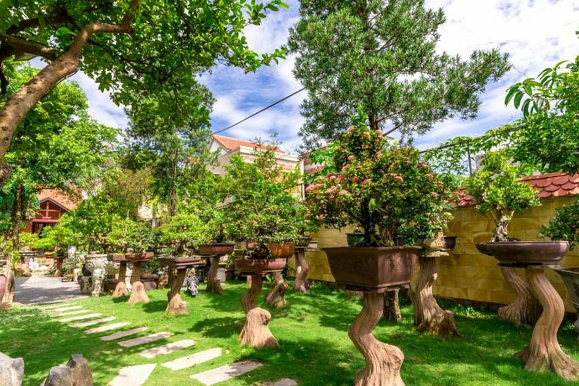 Bonsai Villa Хоян Екстер'єр фото
